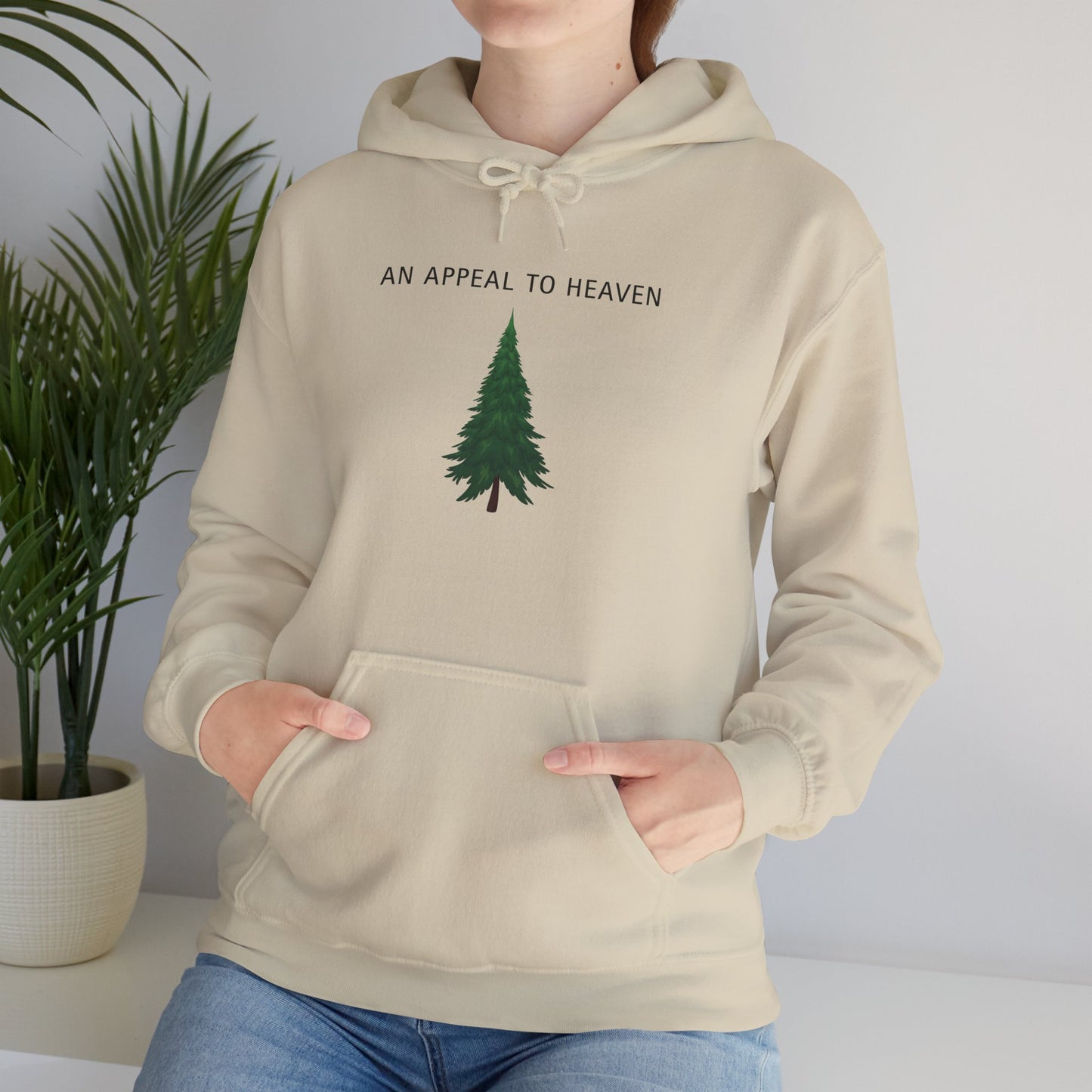 An Appeal To Heaven Hoodie
