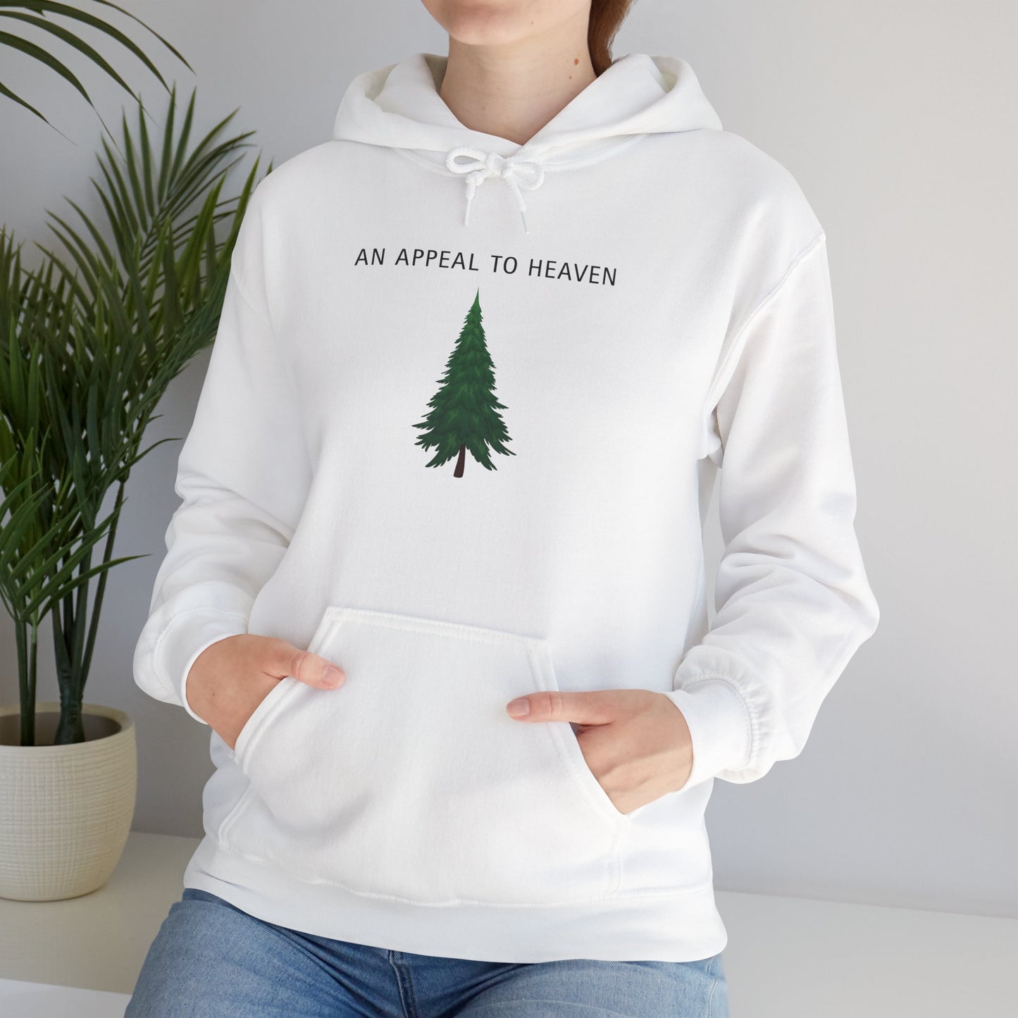 An Appeal To Heaven Hoodie